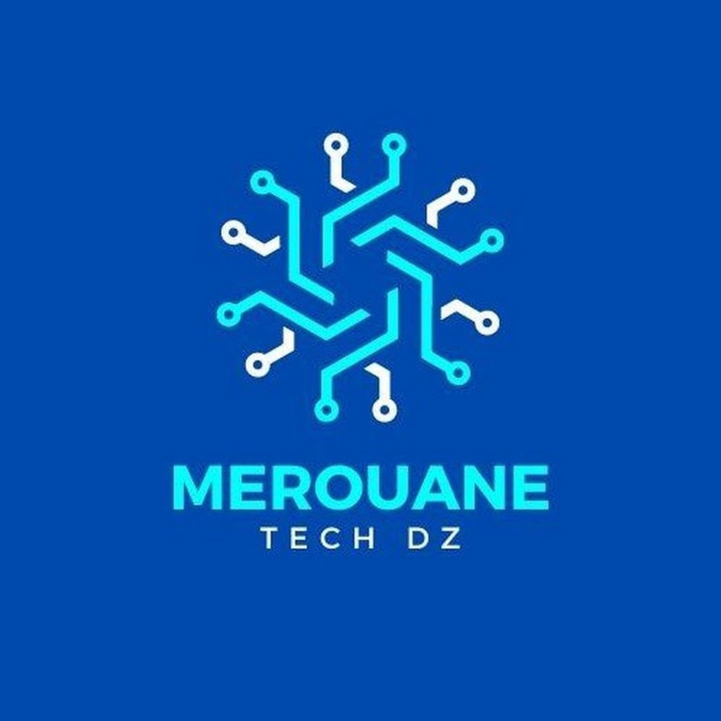 Avatar of Merouane T.