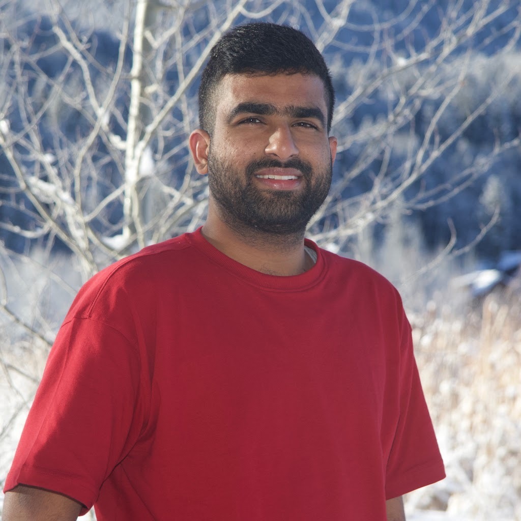 Avatar of Akash P.