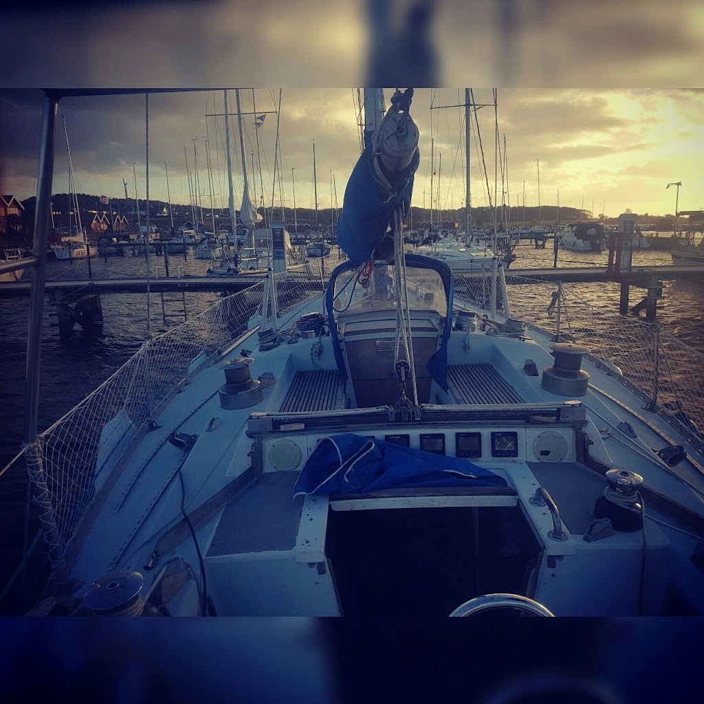 Avatar of William S.