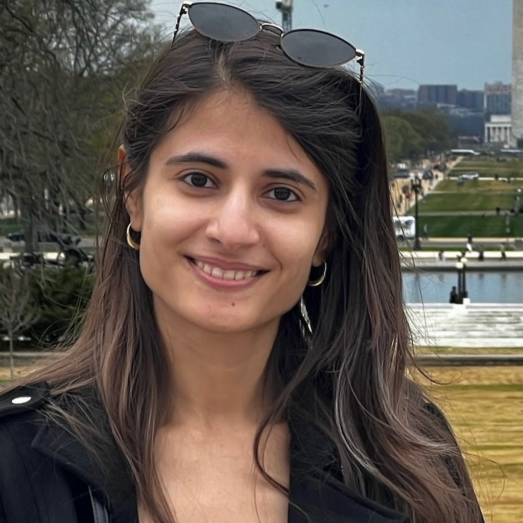 Avatar of Meenal D.