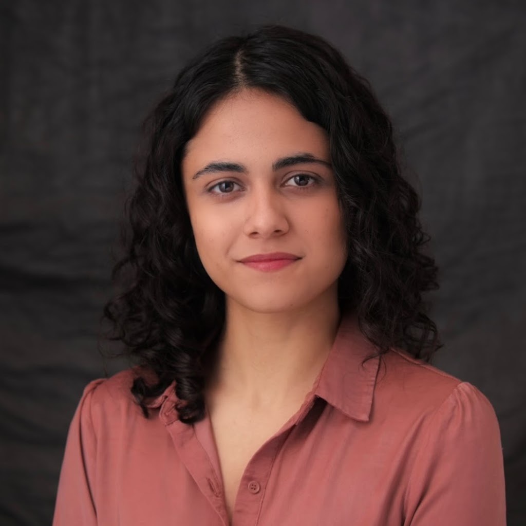 Avatar of Haneen A.