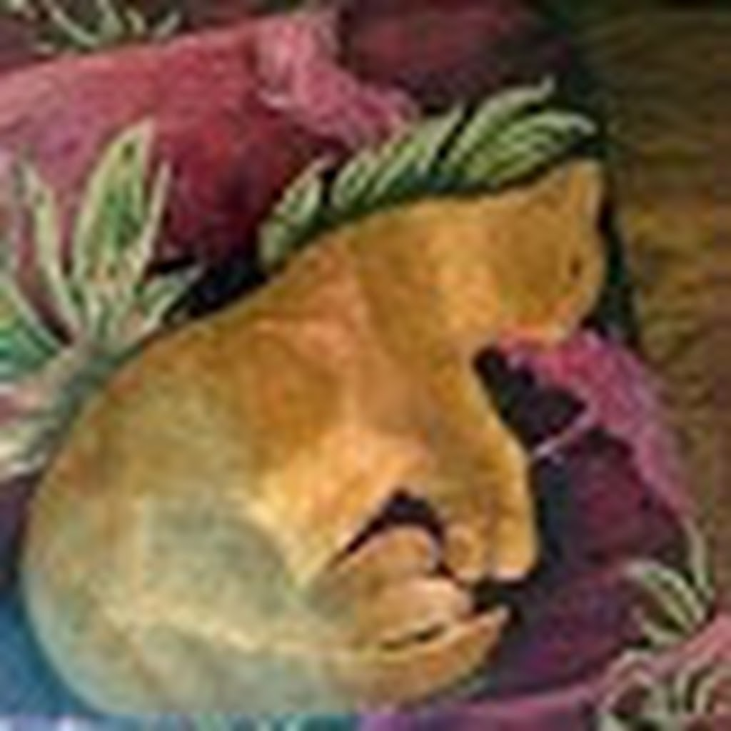 Avatar of Suzan M.