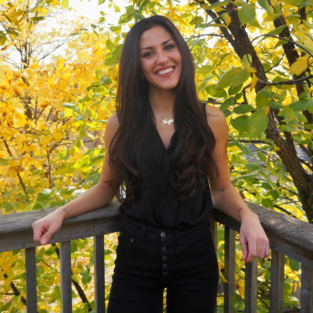 Avatar of Negin S.