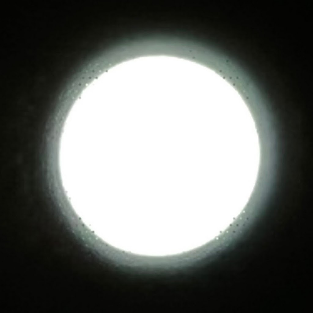 Avatar of Lucky S.