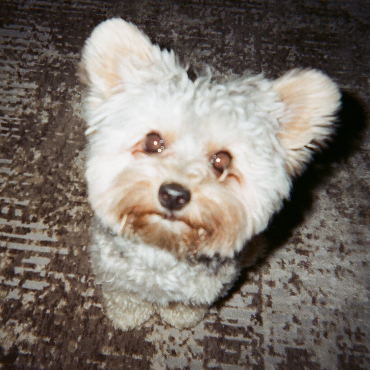 Avatar of Dennis C.