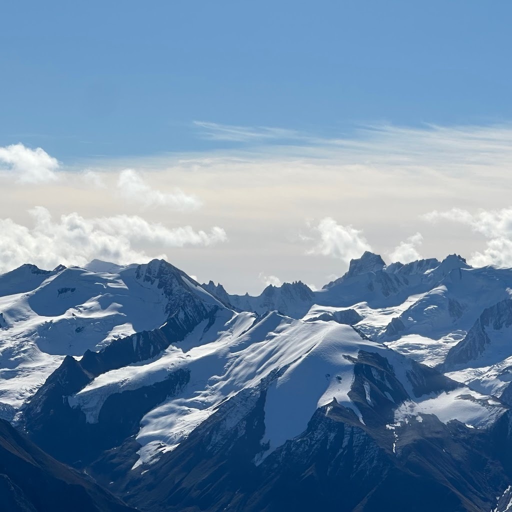 Avatar of Niloo Kazemi