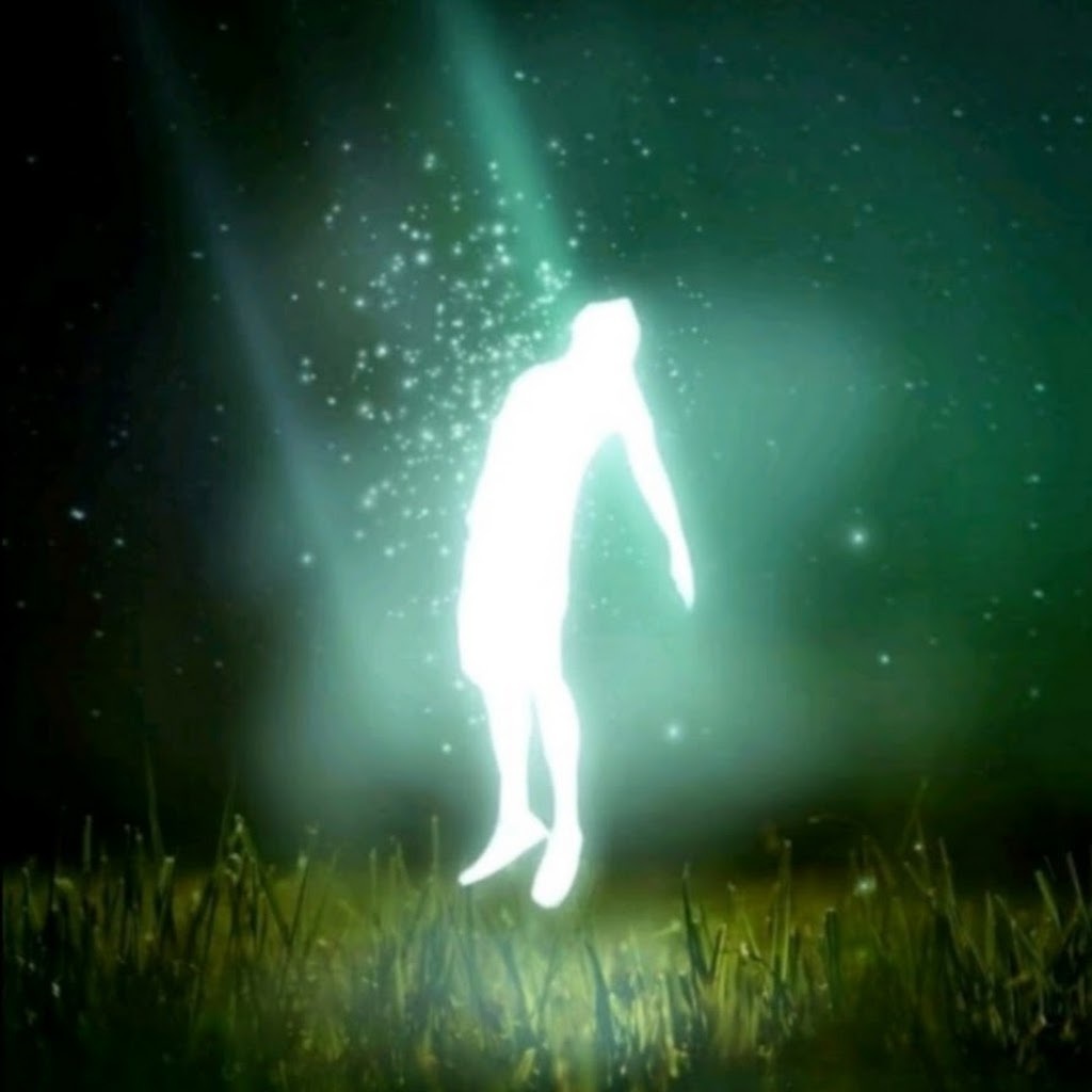 Avatar of Md S.
