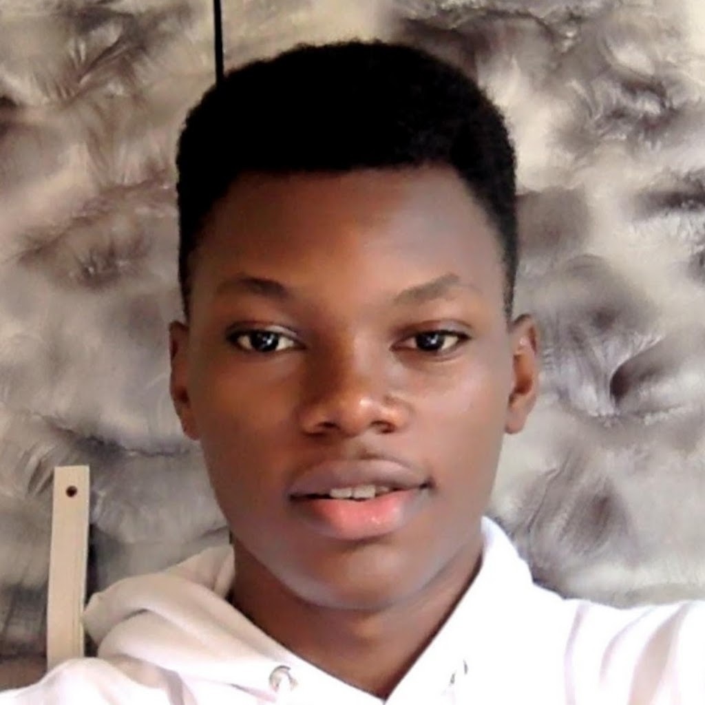 Avatar of Ibrahim S.