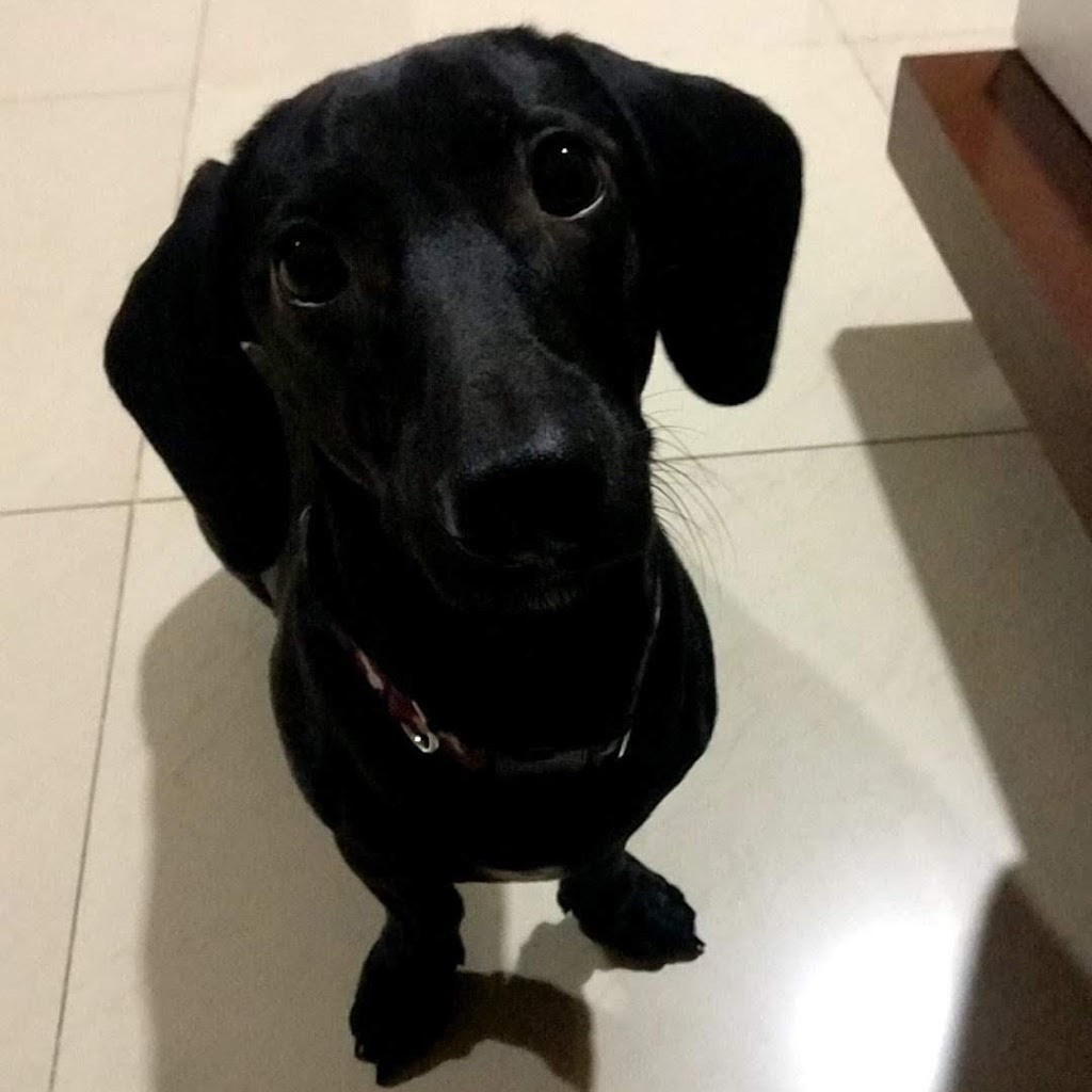 Avatar of Tyson D.
