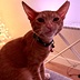 Avatar of Marcie R.