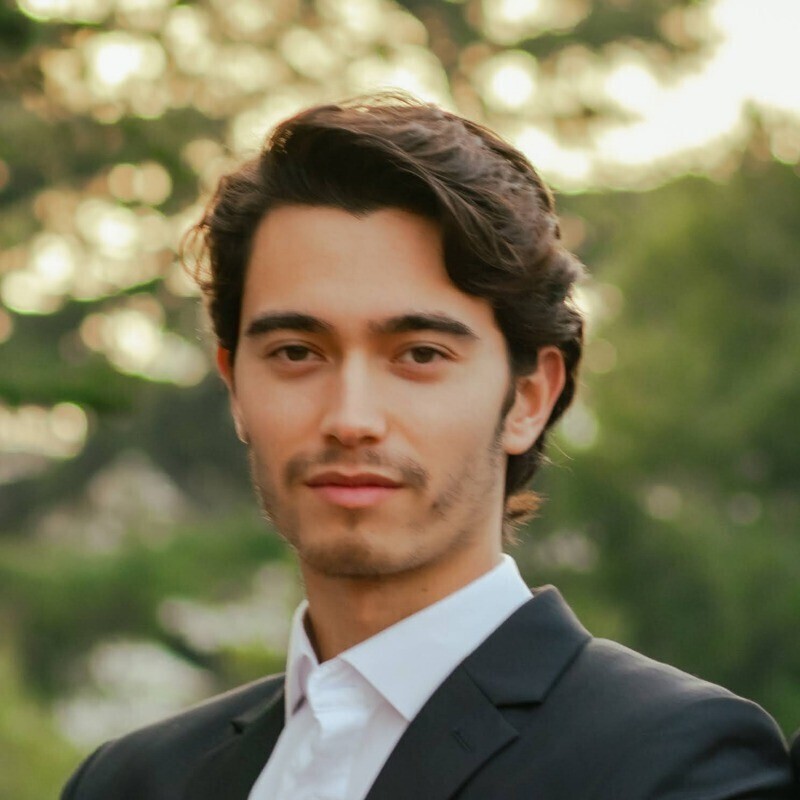 Avatar of Luc V.