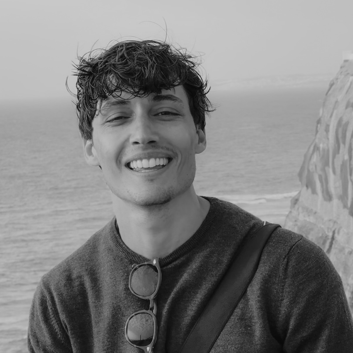 Avatar of Flavio V.