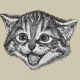 Avatar of Jarad N.