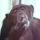 Avatar of Masanori N.