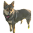 dog-ashoka