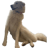 dog-lila